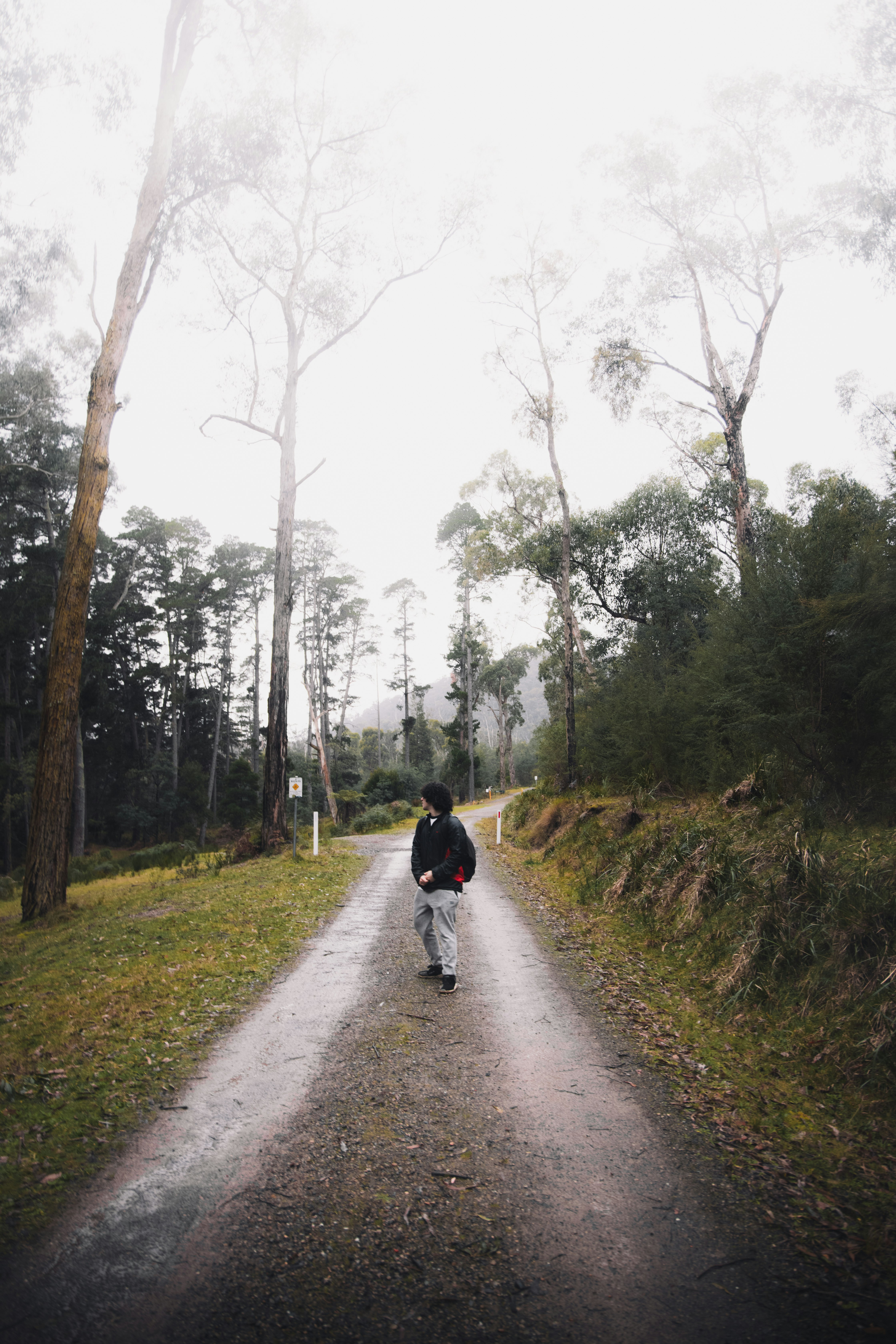 person in black jacket riding bicycle on road during daytime